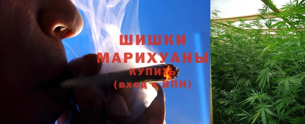 ГАЛЛЮЦИНОГЕННЫЕ ГРИБЫ Заводоуковск