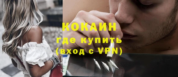 ГАЛЛЮЦИНОГЕННЫЕ ГРИБЫ Заводоуковск